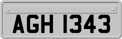 AGH1343