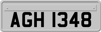 AGH1348