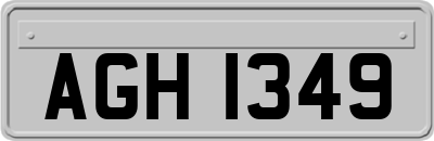 AGH1349
