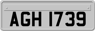 AGH1739