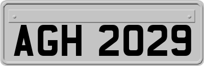 AGH2029