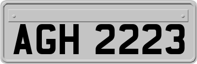 AGH2223