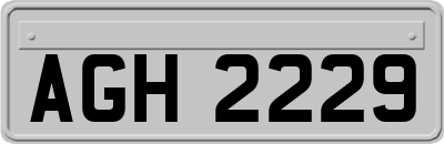 AGH2229