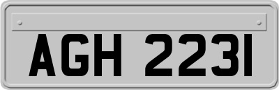 AGH2231