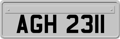 AGH2311