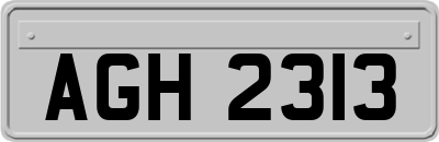 AGH2313