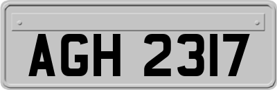 AGH2317