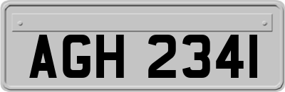 AGH2341