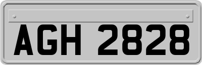 AGH2828