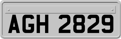 AGH2829