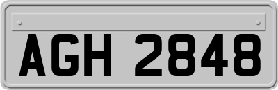 AGH2848