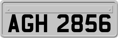 AGH2856