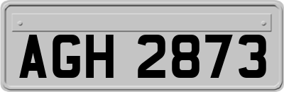 AGH2873