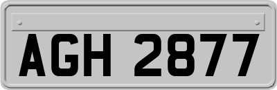 AGH2877