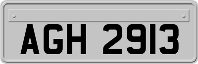 AGH2913