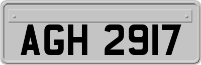 AGH2917