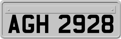 AGH2928