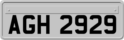 AGH2929