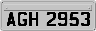 AGH2953