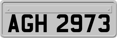 AGH2973