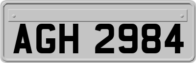 AGH2984