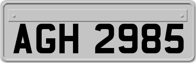 AGH2985