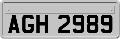 AGH2989
