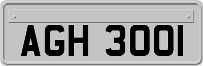 AGH3001