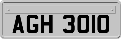 AGH3010
