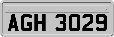 AGH3029