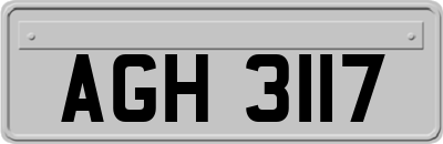 AGH3117