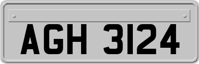 AGH3124