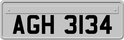 AGH3134