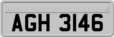 AGH3146