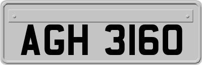 AGH3160