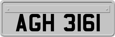 AGH3161