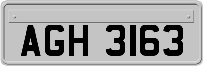 AGH3163