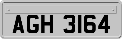 AGH3164