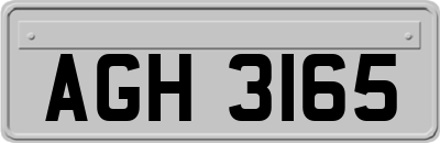 AGH3165