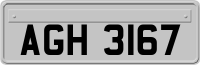 AGH3167