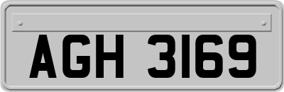 AGH3169
