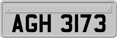 AGH3173