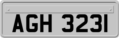 AGH3231