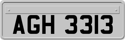 AGH3313