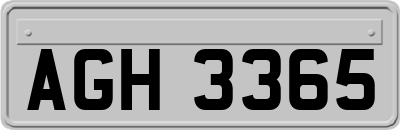 AGH3365