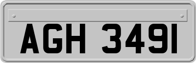 AGH3491