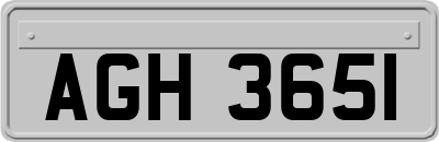 AGH3651