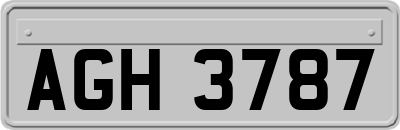 AGH3787