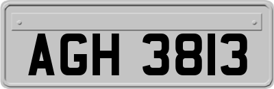 AGH3813