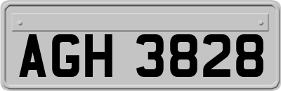 AGH3828